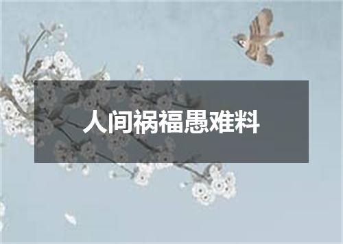 人间祸福愚难料