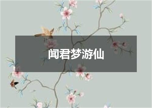 闻君梦游仙