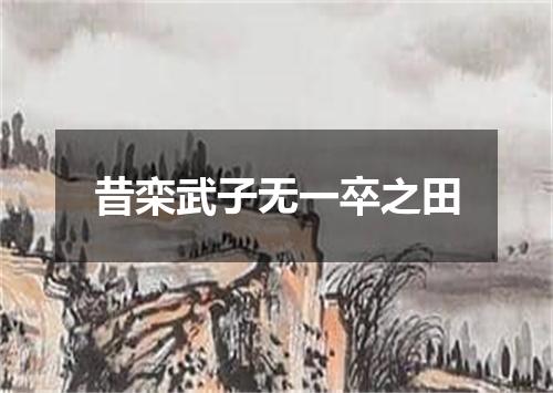 昔栾武子无一卒之田