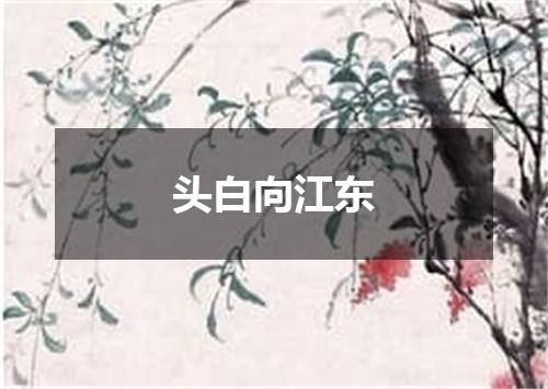 头白向江东