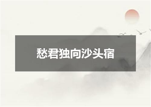 愁君独向沙头宿