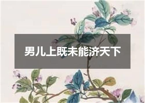 男儿上既未能济天下