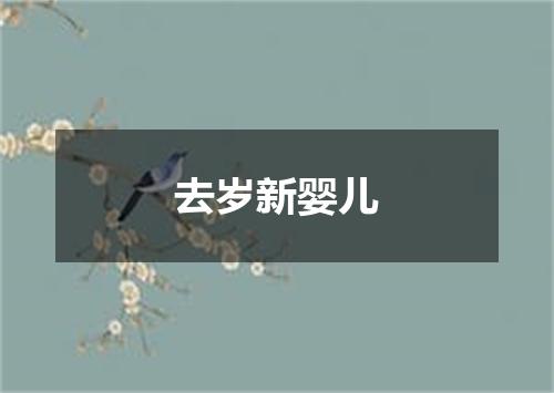 去岁新婴儿