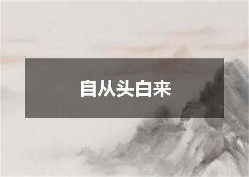 自从头白来