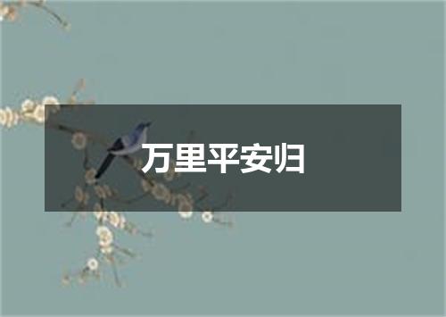 万里平安归