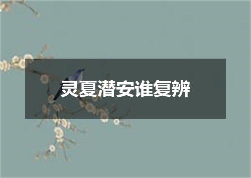 灵夏潜安谁复辨