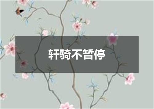 轩骑不暂停