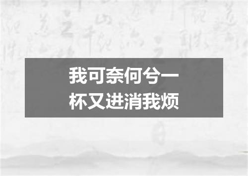 我可奈何兮一杯又进消我烦