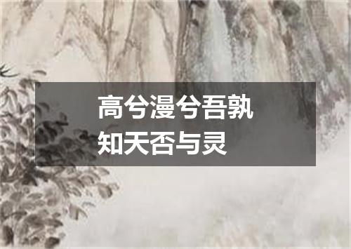 高兮漫兮吾孰知天否与灵