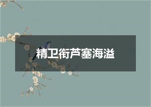 精卫衔芦塞海溢