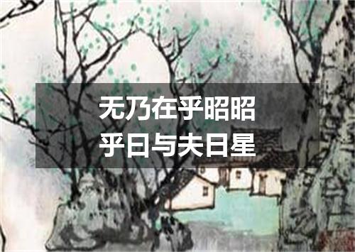 无乃在乎昭昭乎曰与夫日星