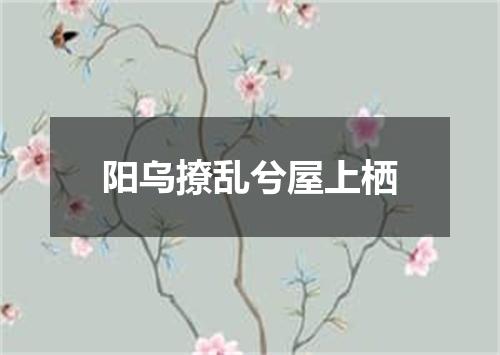 阳乌撩乱兮屋上栖