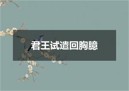 君王试遣回胸臆