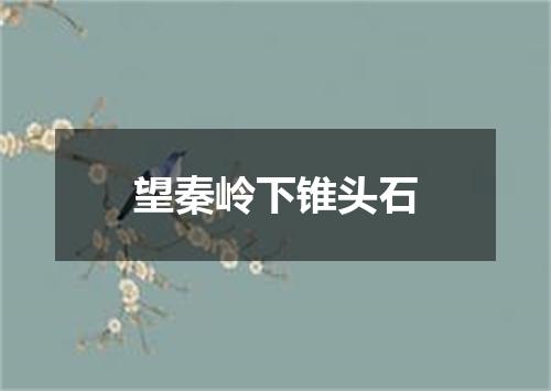 望秦岭下锥头石