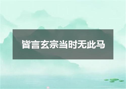 皆言玄宗当时无此马