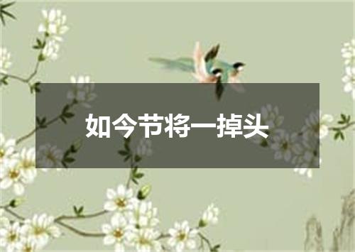 如今节将一掉头