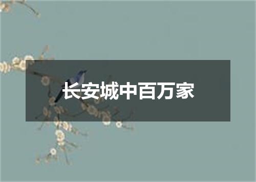 长安城中百万家