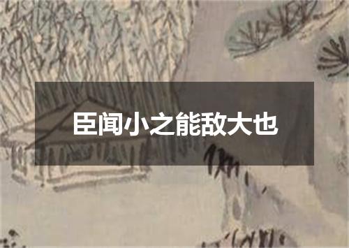 臣闻小之能敌大也