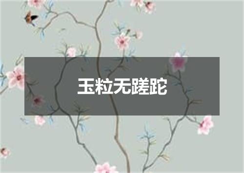 玉粒无蹉跎