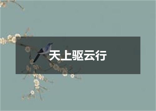 天上驱云行