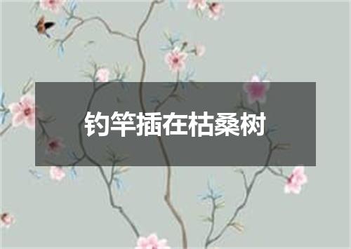 钓竿插在枯桑树