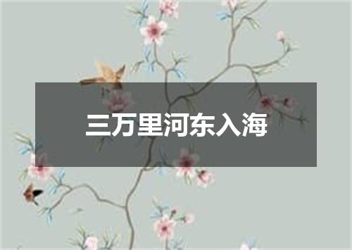 三万里河东入海