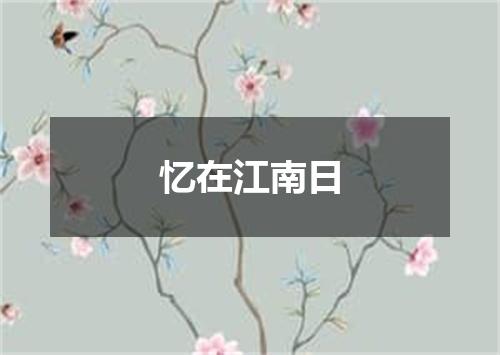 忆在江南日