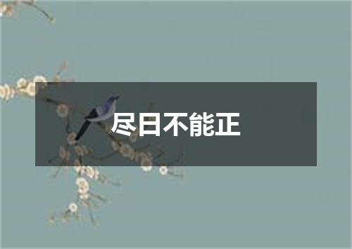 尽日不能正