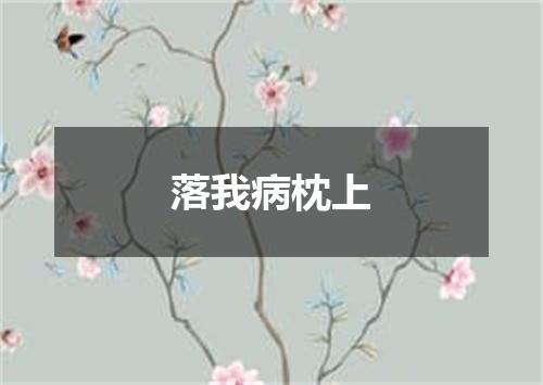 落我病枕上