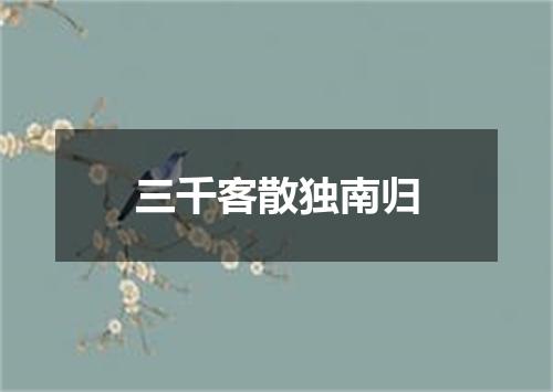 三千客散独南归