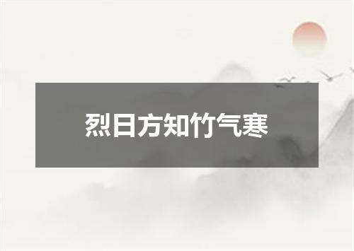 烈日方知竹气寒