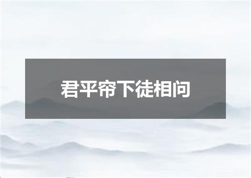 君平帘下徒相问