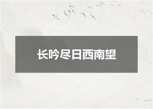 长吟尽日西南望