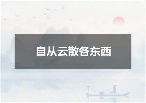 自从云散各东西