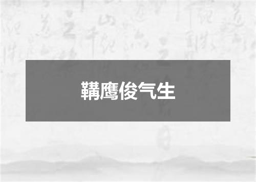 鞲鹰俊气生