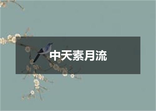 中天素月流