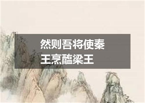 然则吾将使秦王烹醢梁王