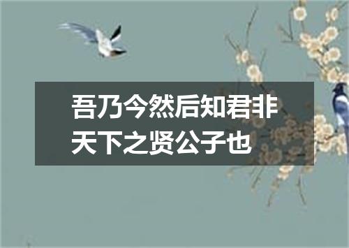 吾乃今然后知君非天下之贤公子也