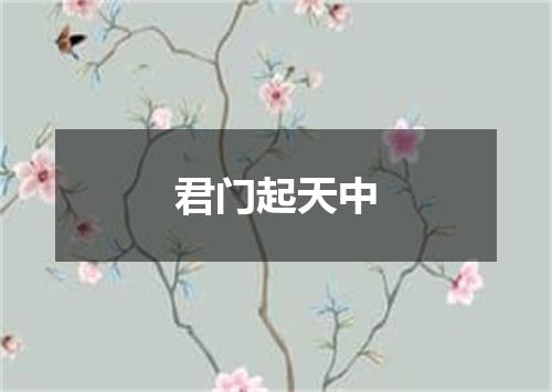 君门起天中