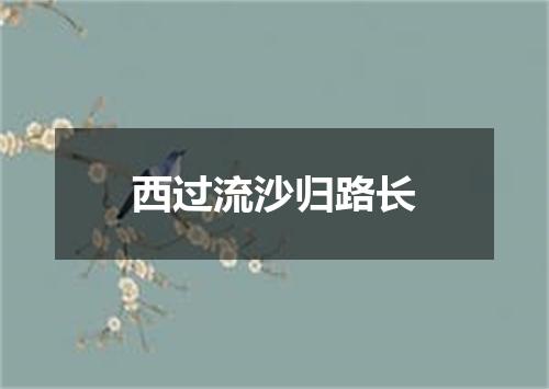 西过流沙归路长