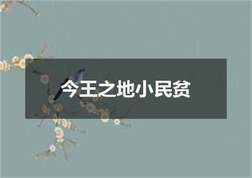 今王之地小民贫