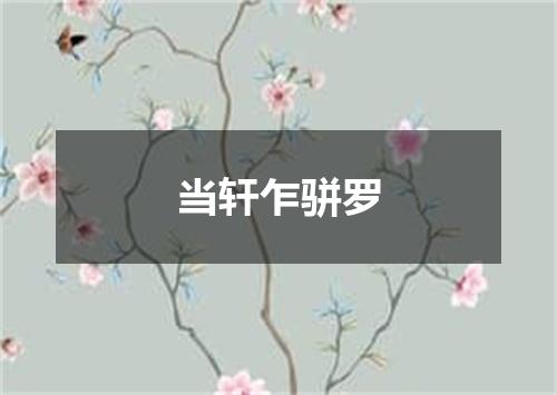 当轩乍骈罗