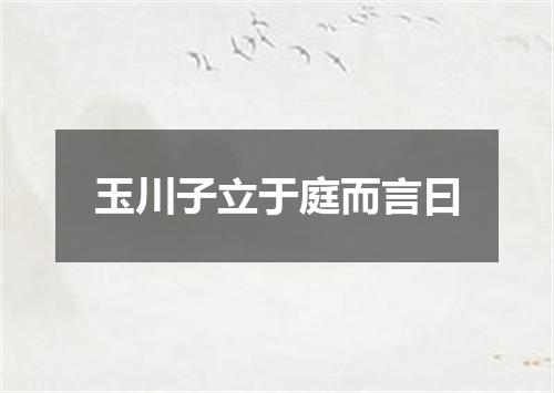 玉川子立于庭而言曰