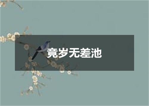 竟岁无差池