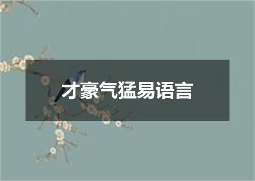 才豪气猛易语言