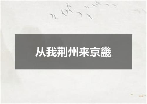 从我荆州来京畿