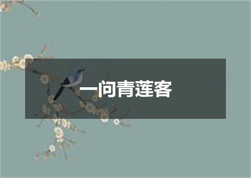 一问青莲客