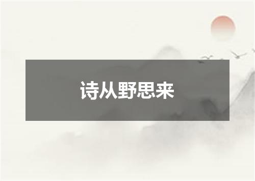 诗从野思来