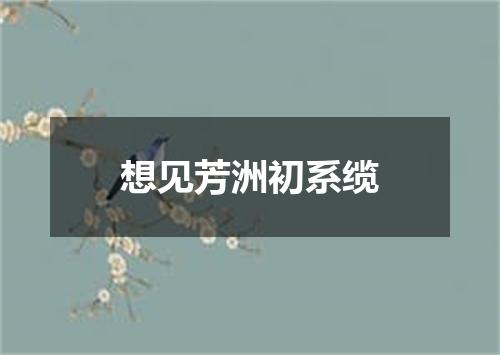 想见芳洲初系缆