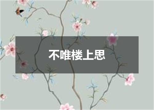 不唯楼上思